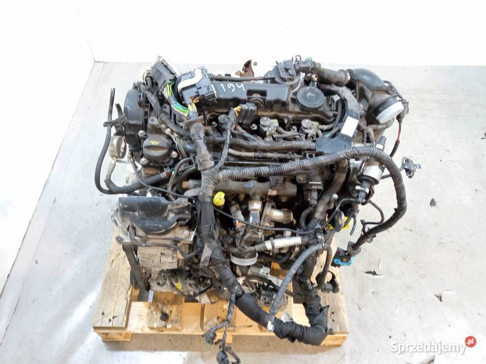 SILNIK KOMPLETNY DIESEL T7MA 10BYZS 20 TDCI BLUE świętokrzyskie