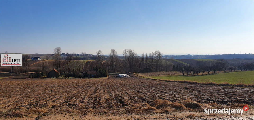 Działka na sprzedaż Michałowice 2450m2 220zł/m2