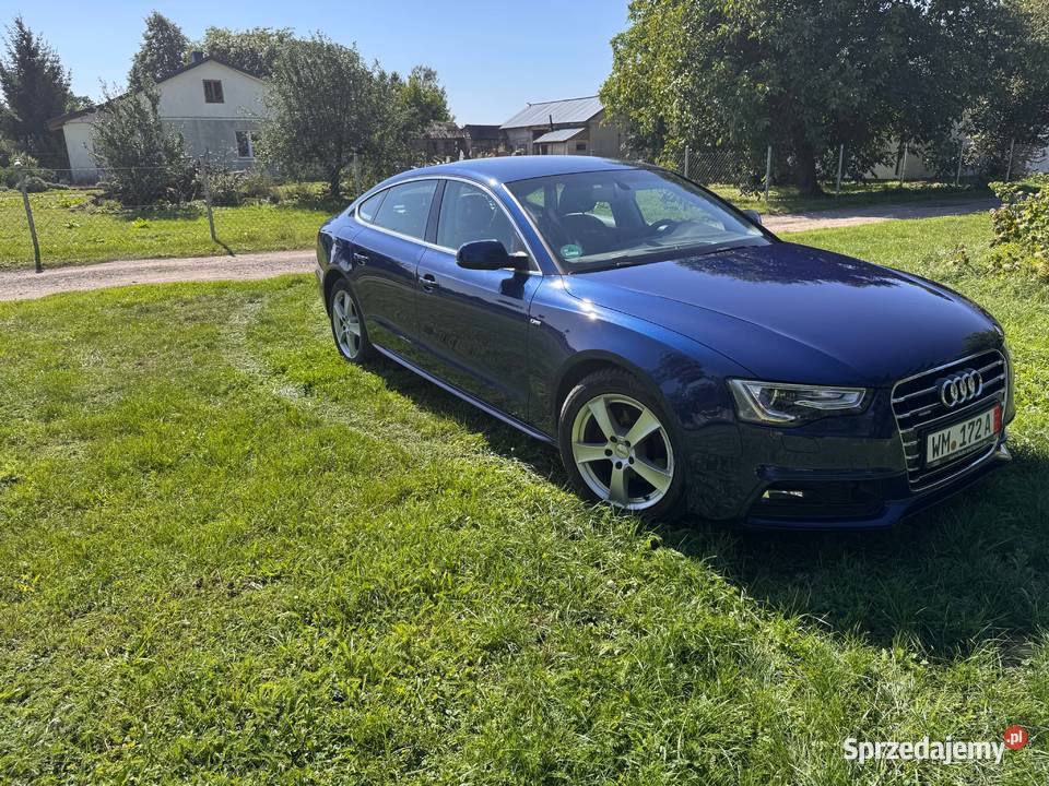 Audi A5 B8 2016 lubelskie Nałęczów