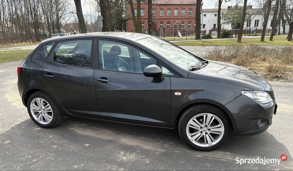 Seat Ibiza IV 1600cm3 Ciechów