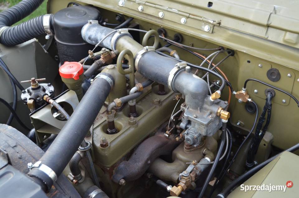 Jeep Willys m38 1951 1km Mała Wieś