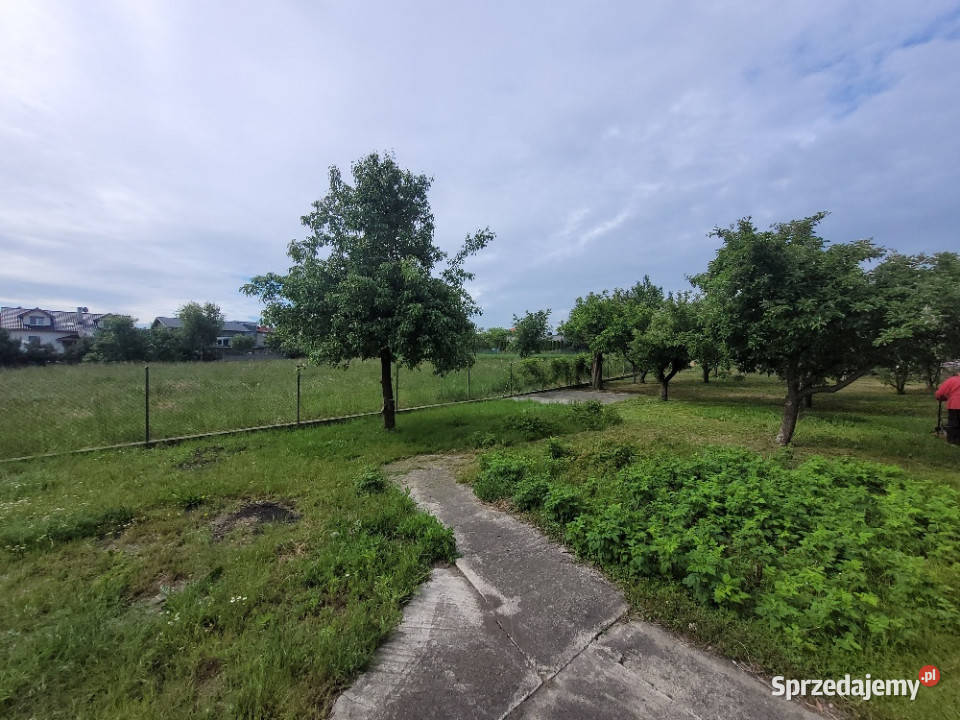 Sprzedam działki pobliże zabudowy mieszkaniowej Koszanowo