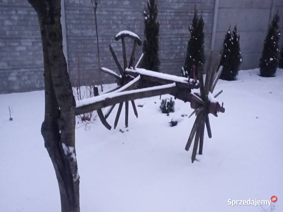 Do ogrodu wielkopolskie Konin sprzedam