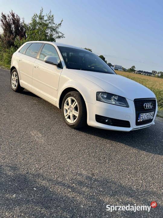 Audi a3 8p 16tdi 2010r wspomaganie kierownicy Łowicz