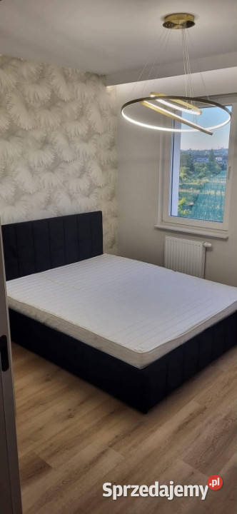 Do wynajęcia mieszkanie Konin Erazma Pietrygi 4