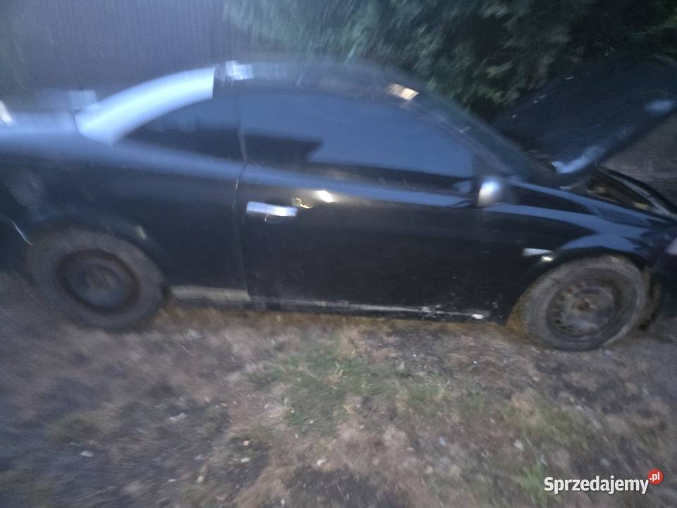 Sprzedam czesci do Reno Megane cabrio 2 19 disel manualna