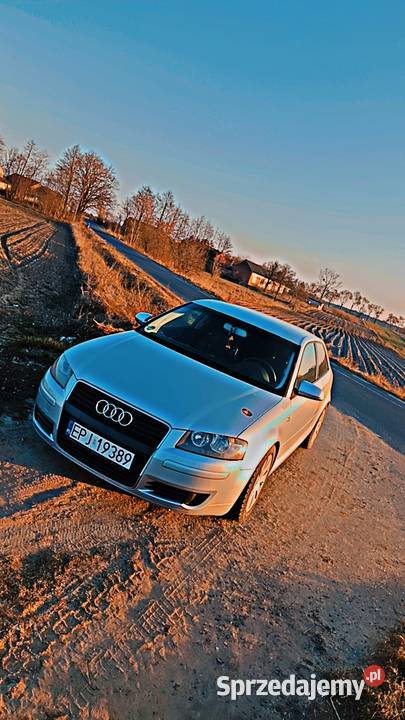Sprzedam Audi A3 8p Trębaczew