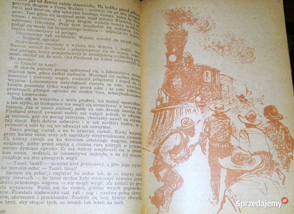 Skarb w Srebrnym Jeziorze Karol May Chełm