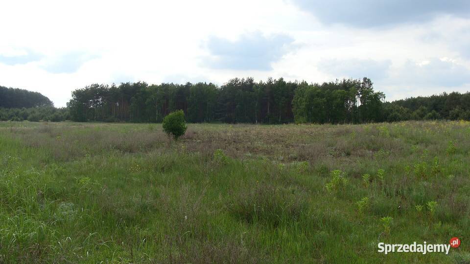 Sprzedam atrakcyjną działkę budowlaną Korwin gm