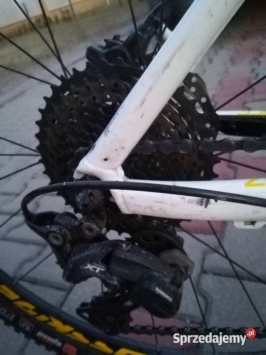 Radon zr race 29MTB Warka