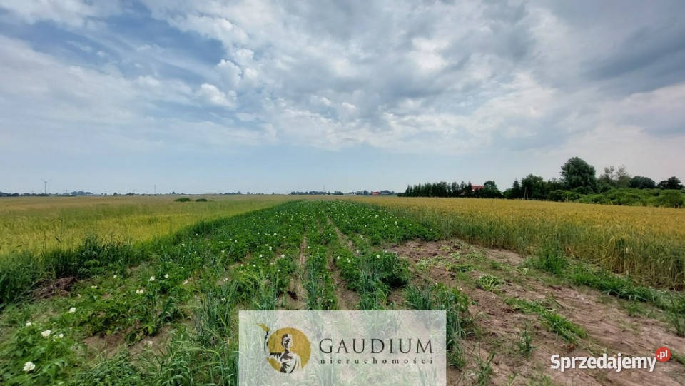 Działki przemysłowe PSSE Sztum Sprzedaż