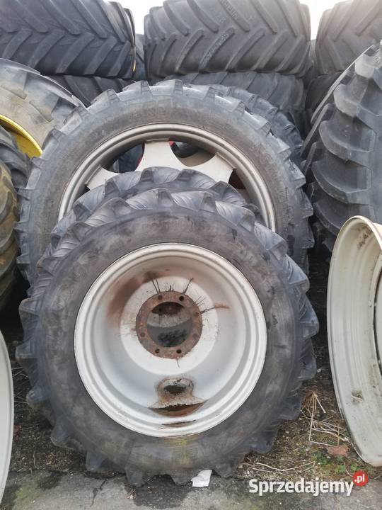 Koła wąskie Holland Holland koła wąskie Osła