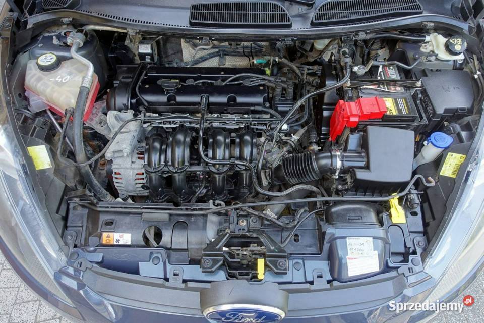 Ford Fiesta Serwisowany GWARANCJA Zakup Door to Fiesta