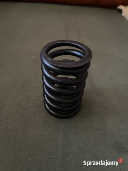 Sprężyna zaworu UAZ osobowe Serock