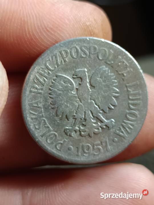 Sprzedam 50 gr 1957 r yy lubelskie Chełm sprzedam