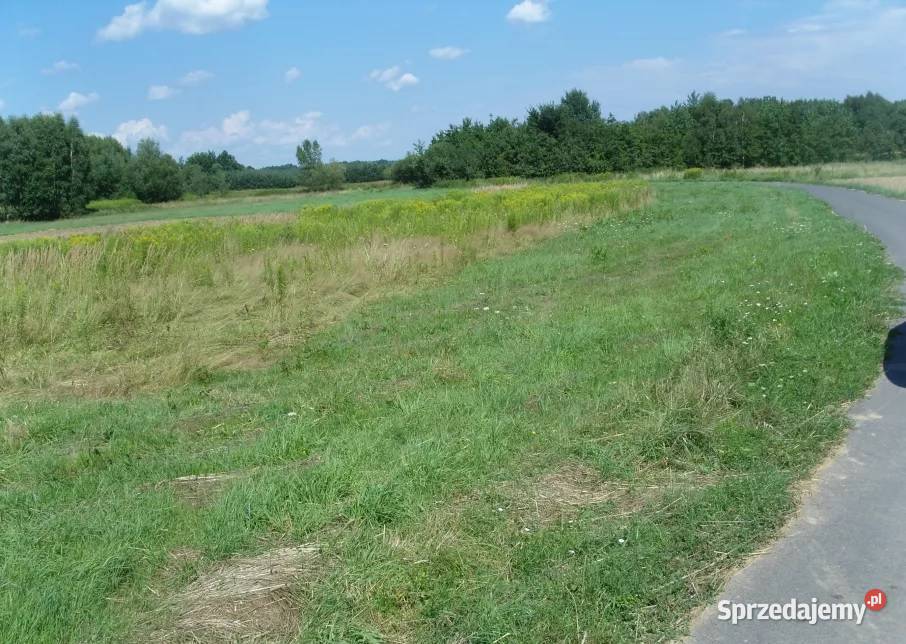 Działka budowlana Sędziszów Małopolski