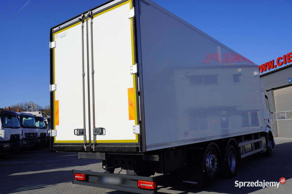 NOWY DAF XF 450 62 2025 NOWA CHŁODNIA KRONE 20 biały Chłodnie