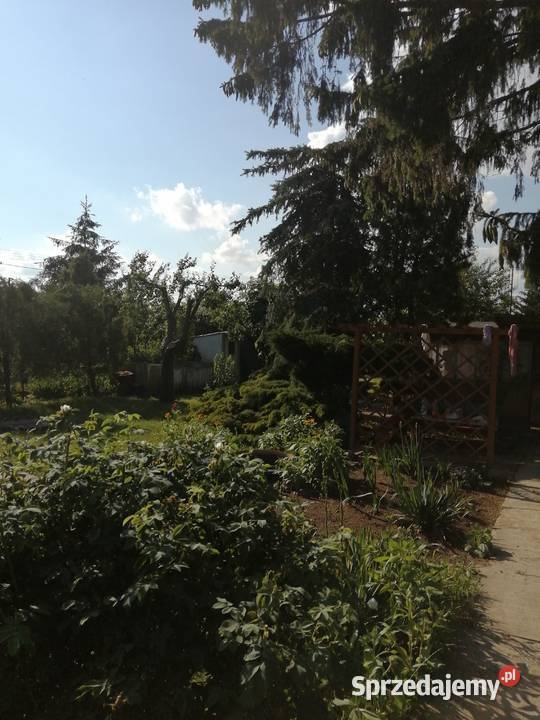 Działka Wisłą w Chełmnie Chełmno