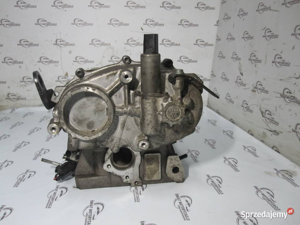 PASSAT B6 OCTAVIA 08r 20 FSI BVY 150 głowica Głowice cylindrów świętokrzyskie sprzedam