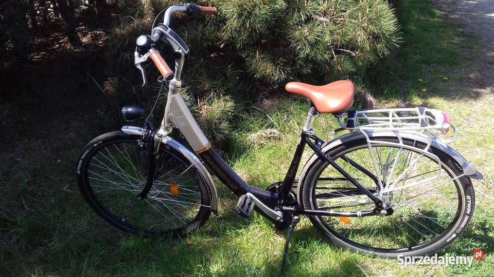BATAVUS śliczna damka 28 Holender Wyjątkowy Gdańsk