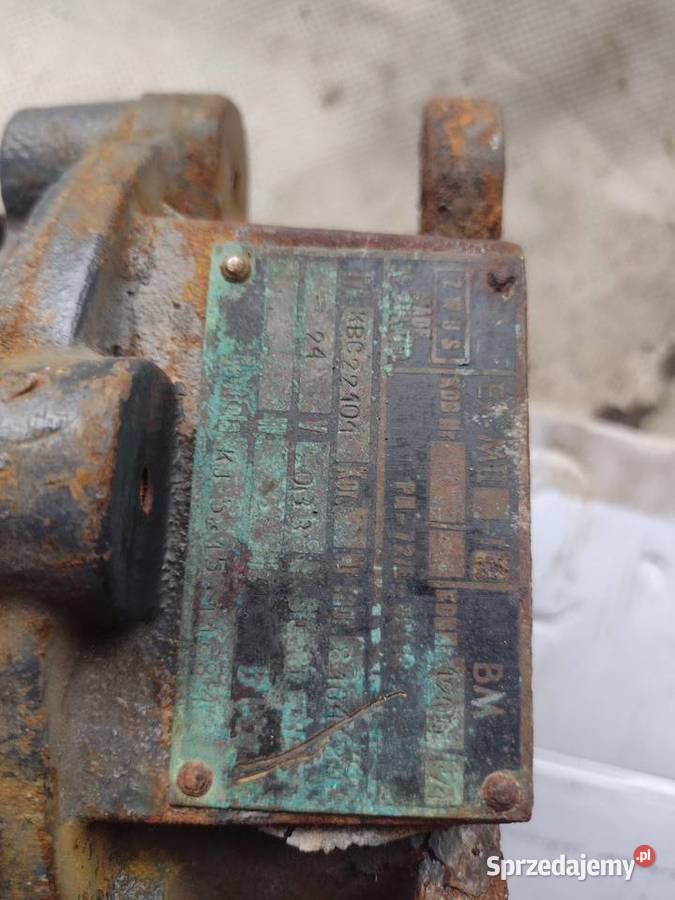 Dzwonek grzechotkowy małopolskie Gołcza