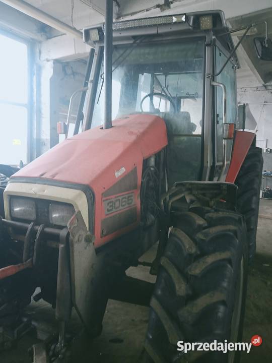 massey ferguson 3065 Kamień Pomorski