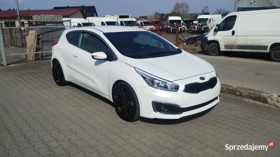 Kia ProCeed niski przebieg Syców