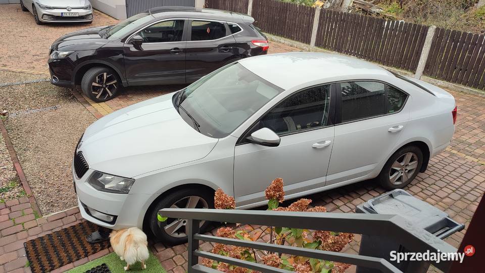 Skoda Octavia 14 benzyna krajowy śląskie sprzedam