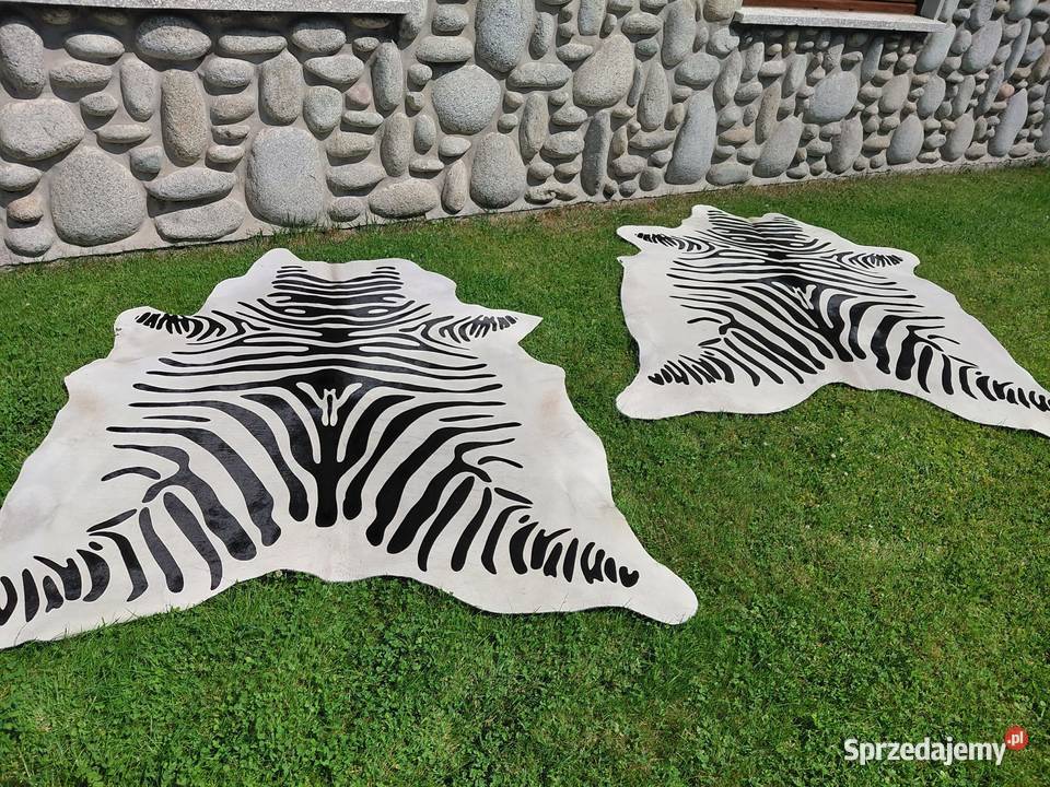 Skóra z Zebry Skóra Naturalna Zebra Skóra Skóry Szaflary
