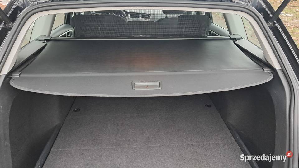 Okazja śliczny golf 16 TDI 110KM wielkopolskie Żerków