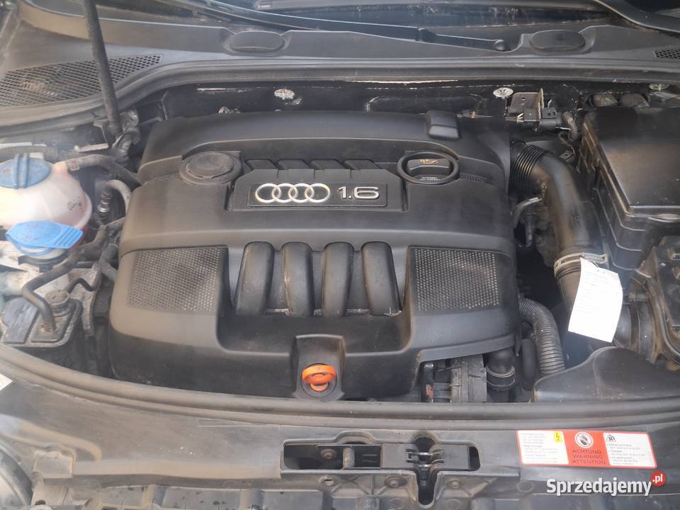 Audi A3 16 MPI 102KM Śmigiel