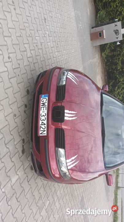 Seat leon Iława