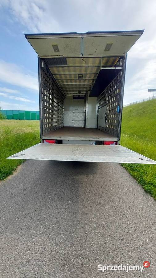 Zabudowa kontener kamper koniowóz