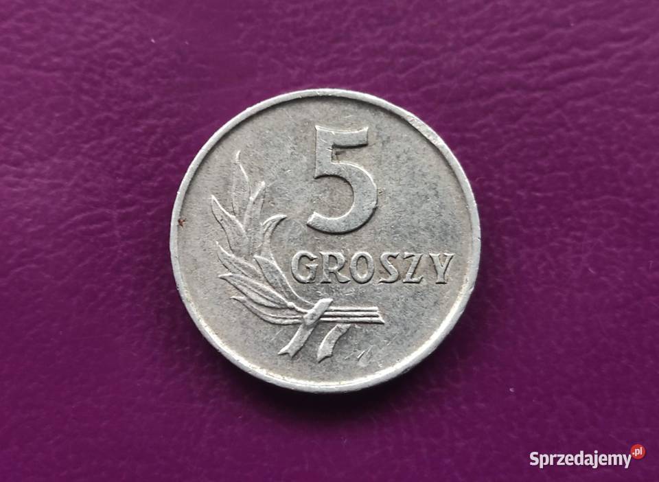 Moneta z PRLu 5 groszy 1962 Rzadka i Ładna Numizmatyka Pruszków