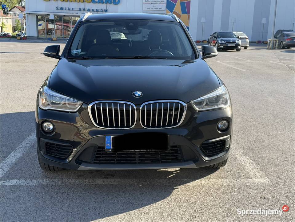 BMW X1 Sdrive16D 196000km Lublin