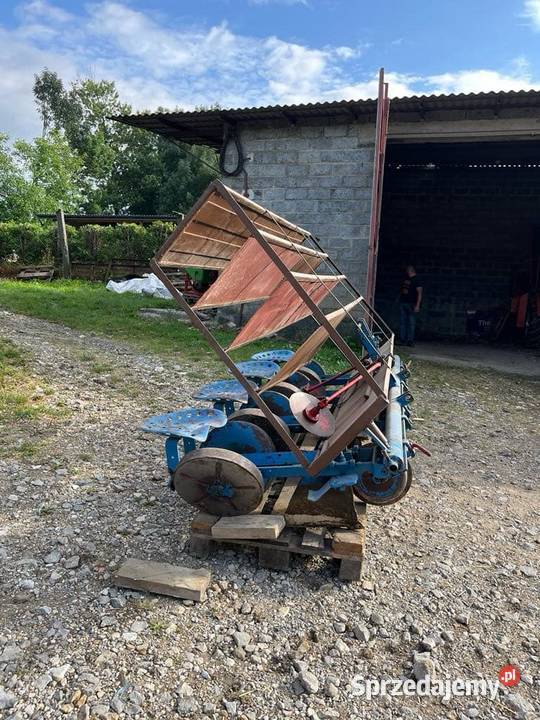 Sadzarka do warzyw Miechów