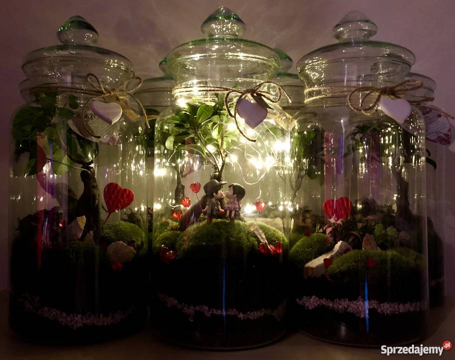 Las w słoiku 40 wysokości prezent podziękowanie Wrocław