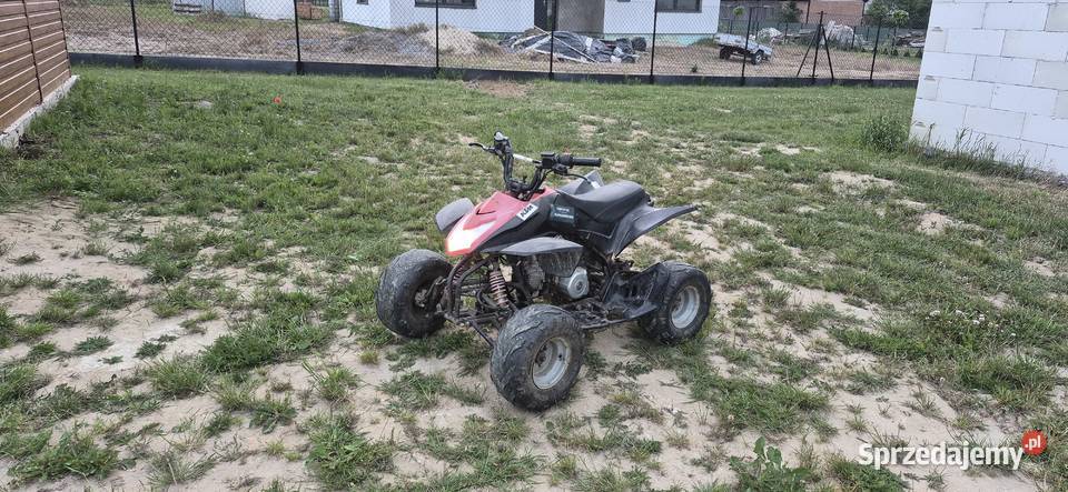 Quad dzieci chinczyk Lublin