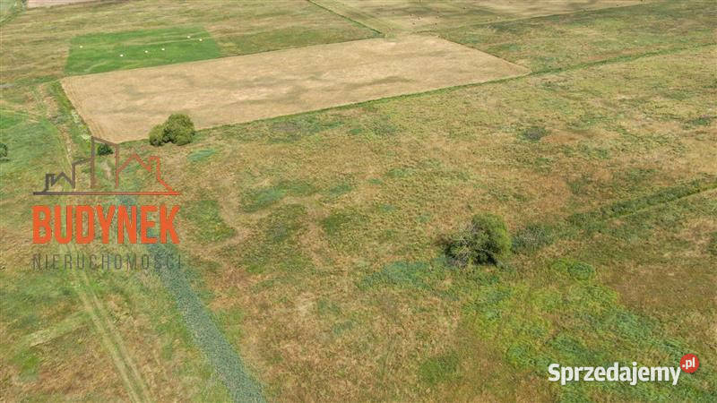 Działka rolna Domasławice Sprzedaż