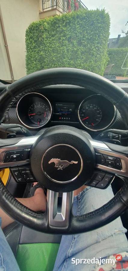 Ford Mustang 37 benzyna piękny 2015 śląskie Cisiec