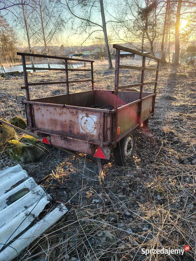 Przyczepa do Rjs 1 Dzik Libiąż