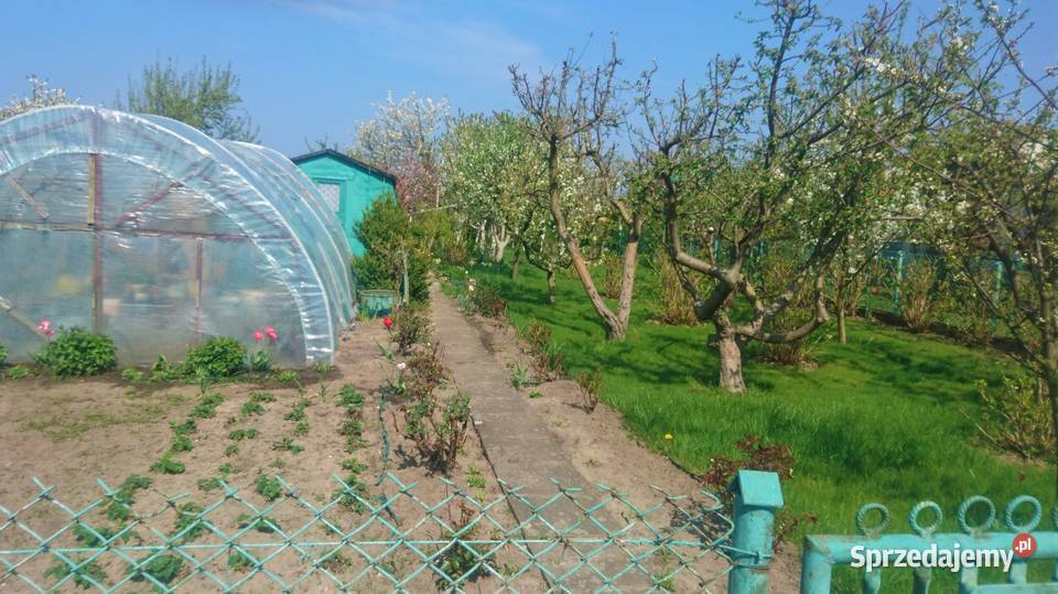 Ogródek działkowy 315m2 Gdynia ROD Okrętowiec