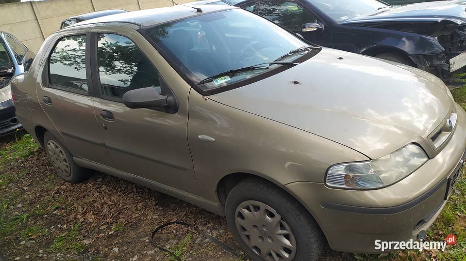 Fiat Albea 12 16V 2003r na części wielkopolskie Szklarka Myślniewska