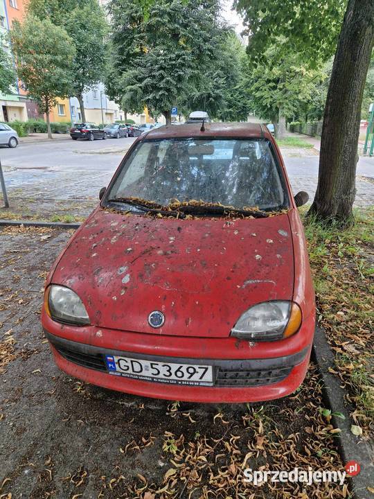 Syndyk sprzeda udział 12 w Fiat Seicento 2002 r Gdańsk