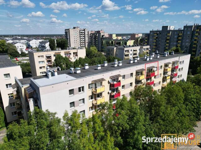sprzedaży mieszkania Opole Piotrkowska 619m2