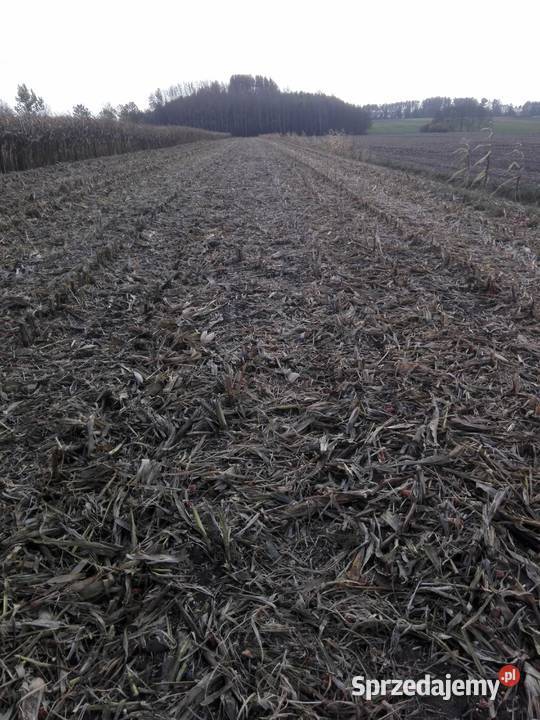 sprzedam przystawkę do kukurydzy claas nieuszkodzony Repki