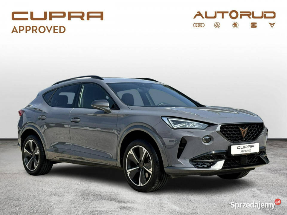 Cupra Formentor 20TSI 190 DSG 4X4 2024 FV VAT23 nieuszkodzony Cupra Kielce