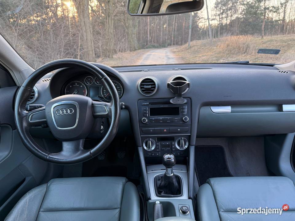 Audi A3 8P 2009r 20 TDI CR Turek sprzedam