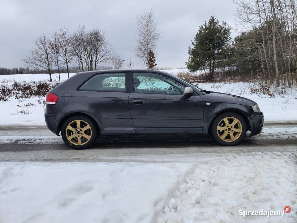 Audi A3 8p 19 TDI 105 2005 Climatronic ZAMIANA ABS A3 Bogoria