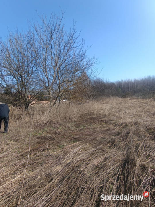 Syndyk sprzeda nieruchomość gruntowa
